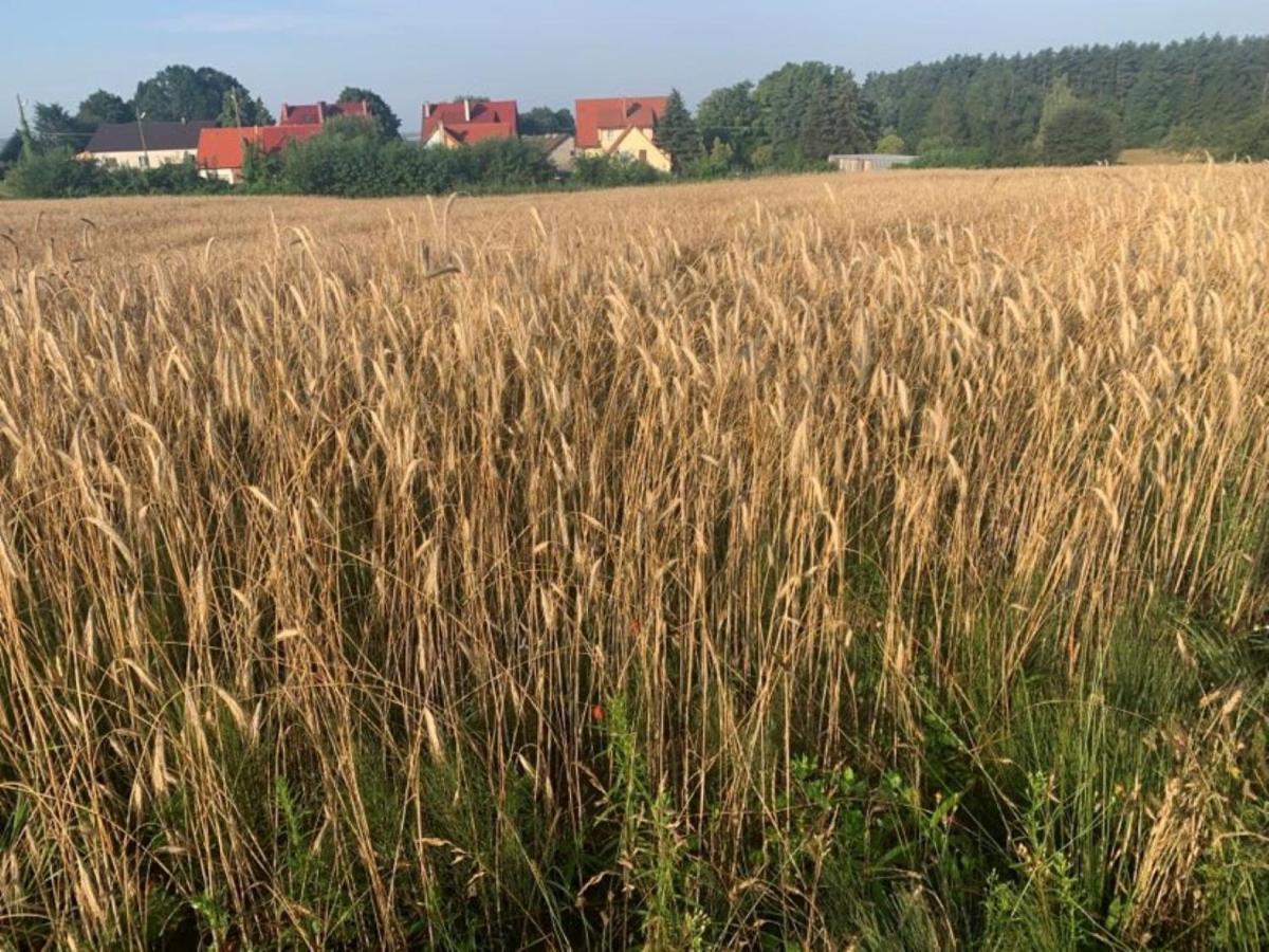 Tumidaj Ferienhaus Bogacko